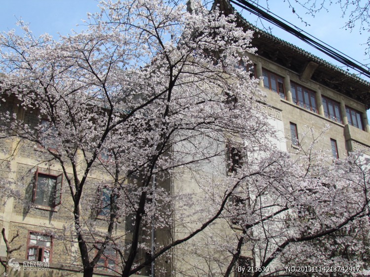武汉大学