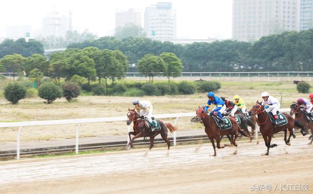 点击查看高清原图